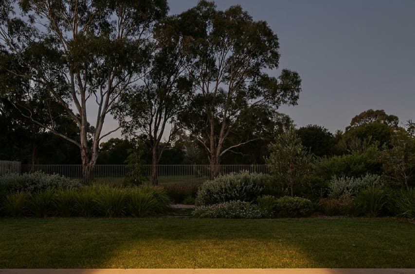 AI concept visualisation: eucalyptus and native garden at dusk beyond the lawn